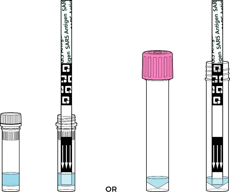 Illustrations depict various tube sizes, and the expected liquid solution levels users may expect to find in the test kit. Coverage of test strip varies based on prefilled liquid.