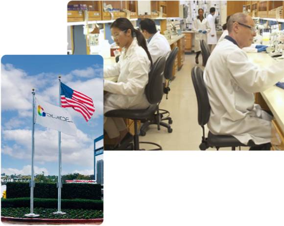 image of Quidel employees and image of Quidel company flag shown next to the U.S. flag
